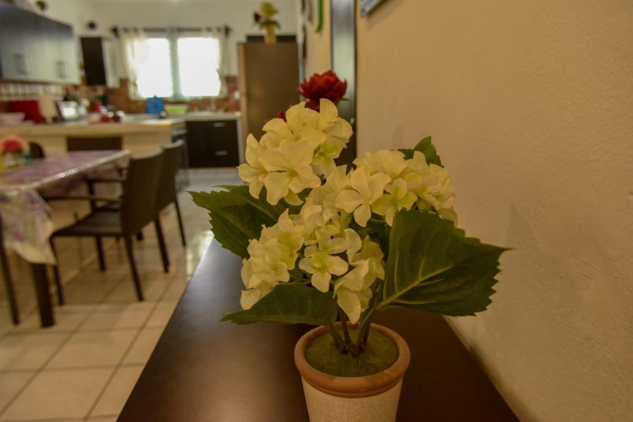 코수멜 Casa Marisol 빌라 외부 사진